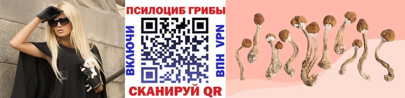 дарк нет официальный сайт  hydra зеркало  Ейск  как найти   Галлюциногенные грибы мухоморы 